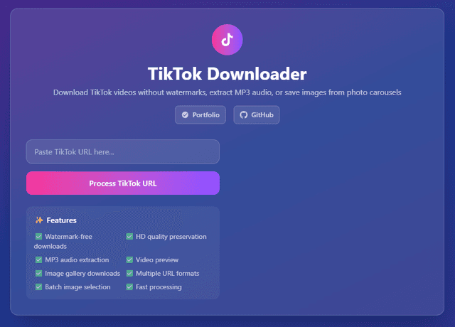 TikTok Downloader